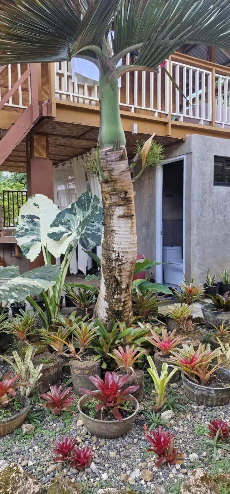 Khloe Serenity Guest House Batuan Esterno foto